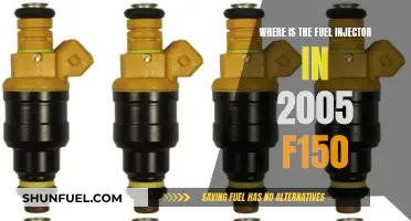 Locating the Fuel Injector in a 2005 F150 Truck