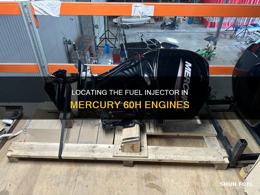 where is the fuel injector on a mercury 60h