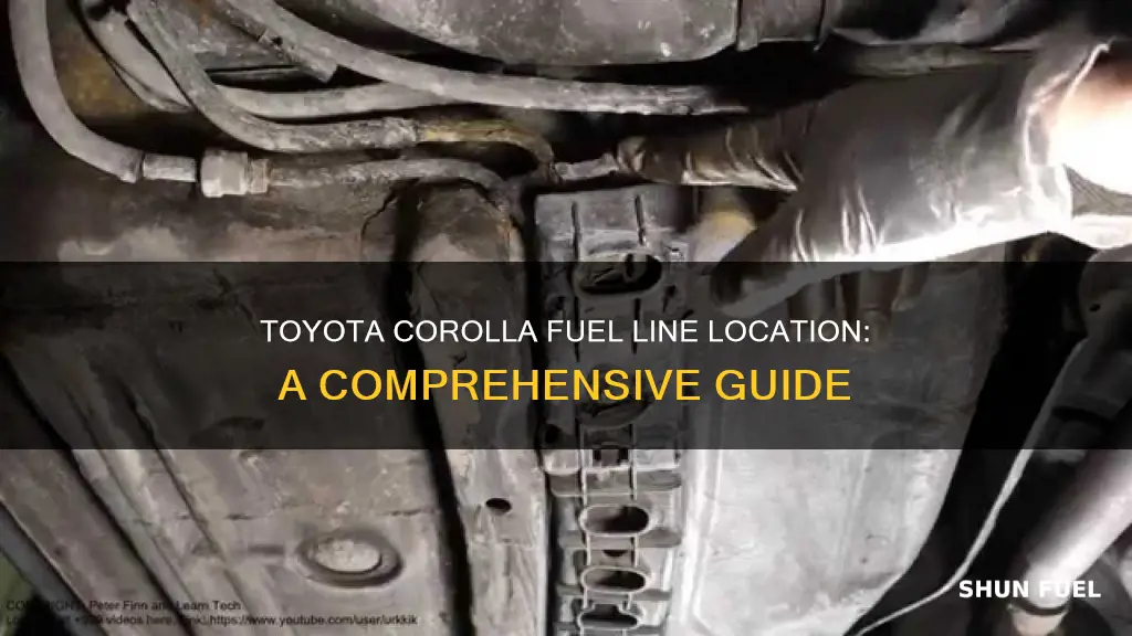 where is the fuel line at 1995 toyota corolla