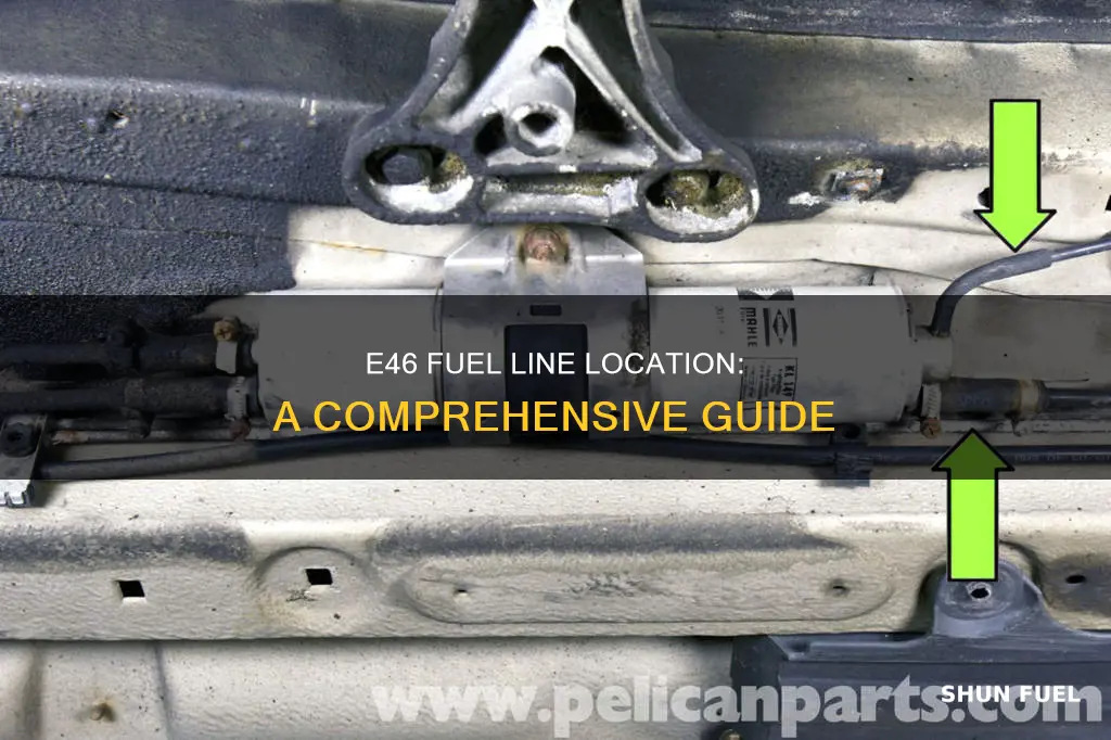 where is the fuel line in a e46