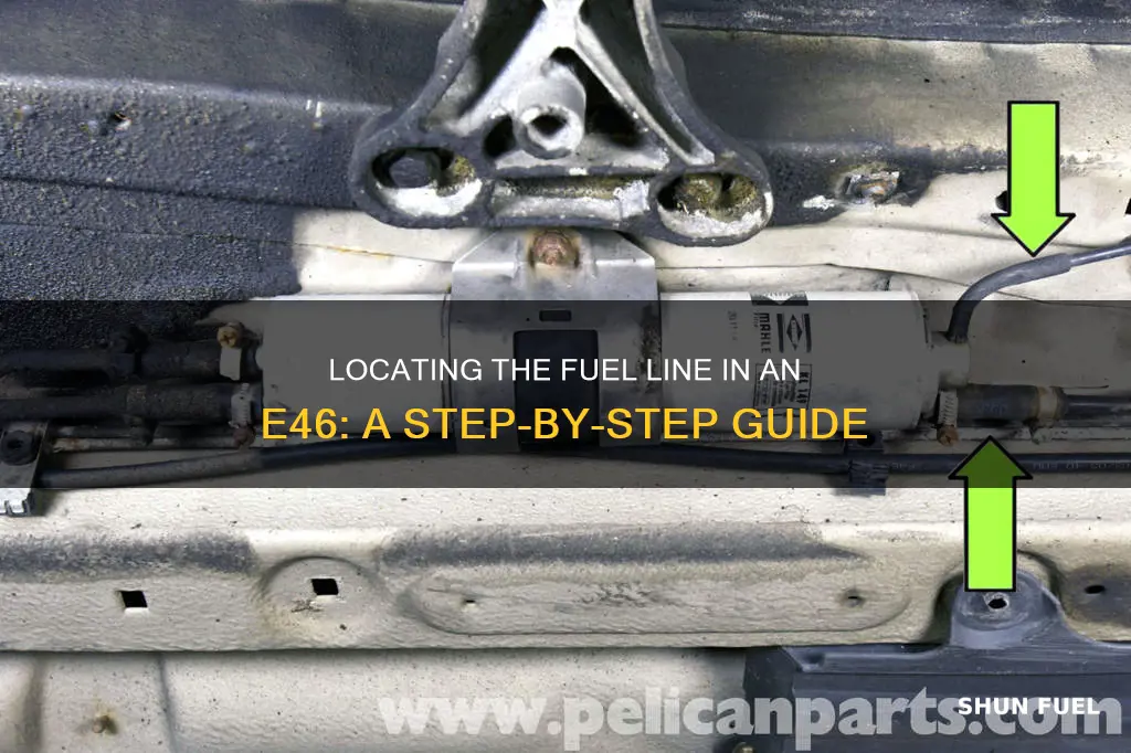 where is the fuel line in a e46