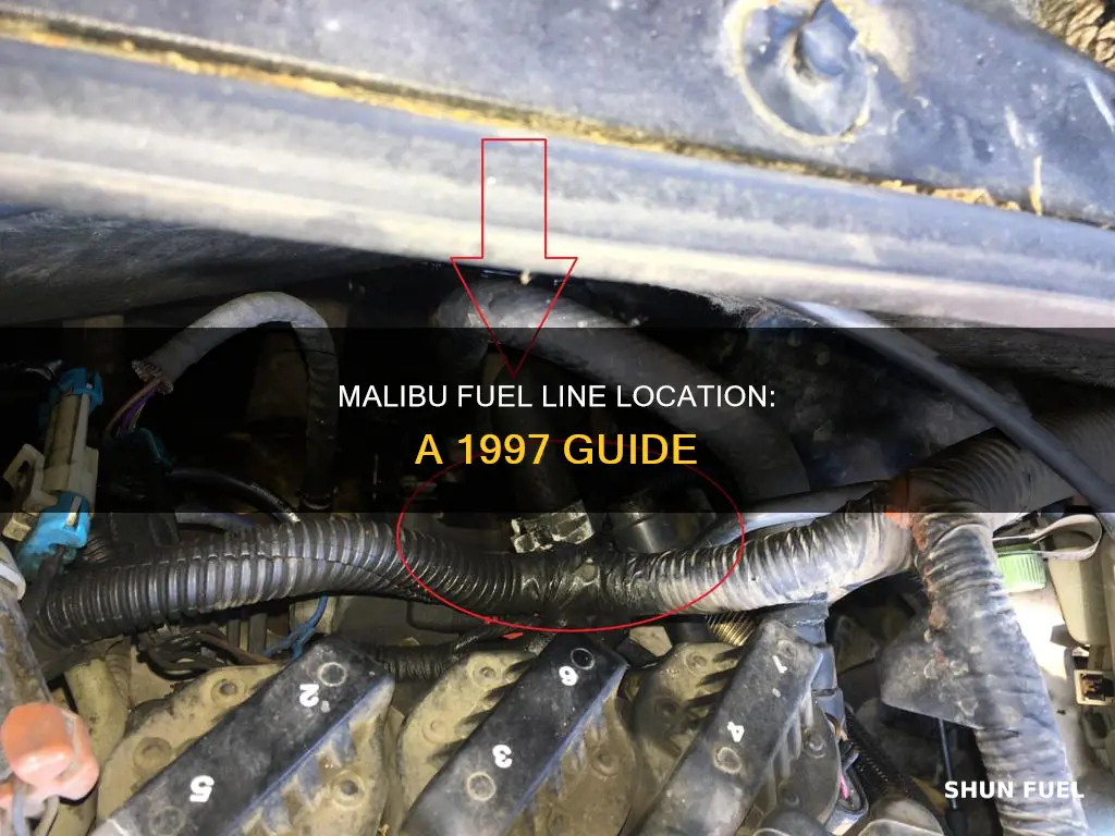 where is the fuel line on a 1997 malibu