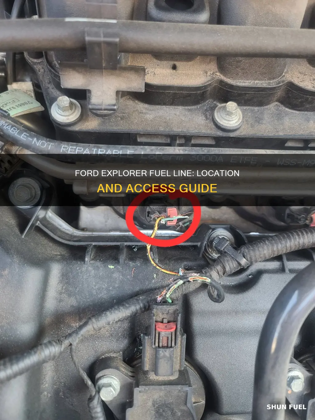where is the fuel line on a 1999 ford explorer
