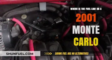 Locate the Fuel Line: 2001 Monte Carlo Guide