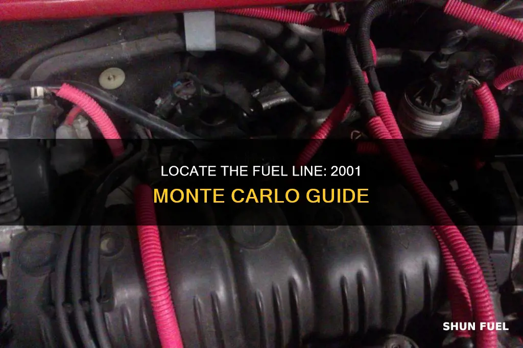 where is the fuel line on a 2001 monte carlo