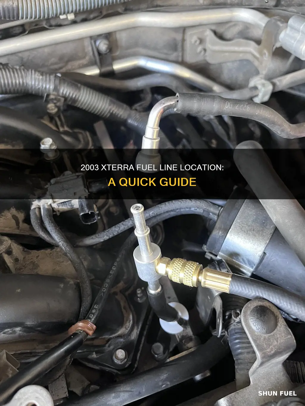 where is the fuel line on a 2003 xterra