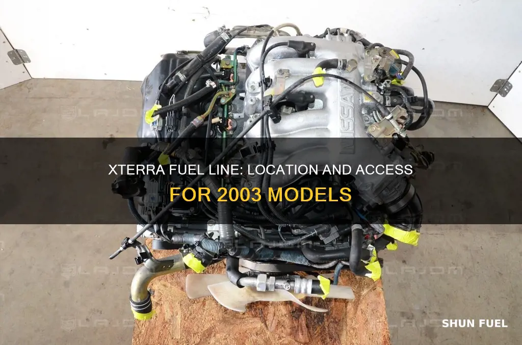 where is the fuel line on a 2003 xterra