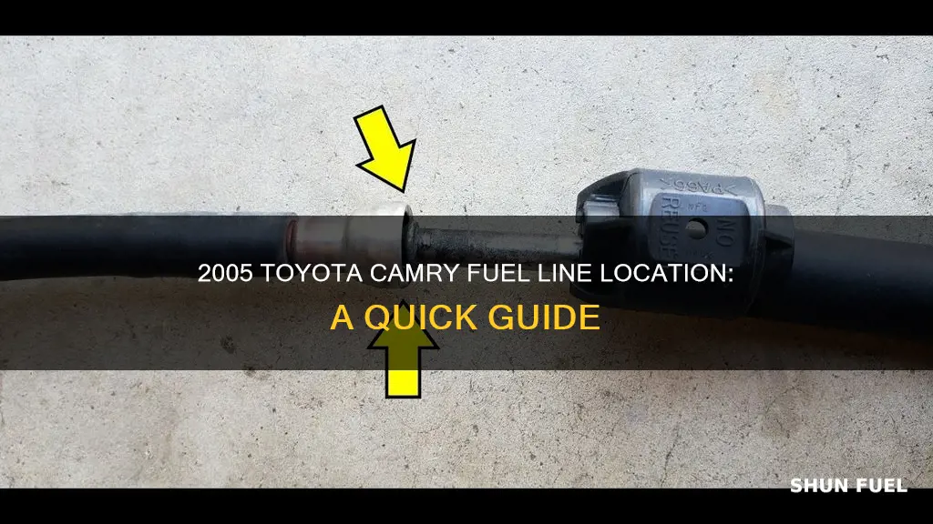 where is the fuel line on a 2005 toyota camry