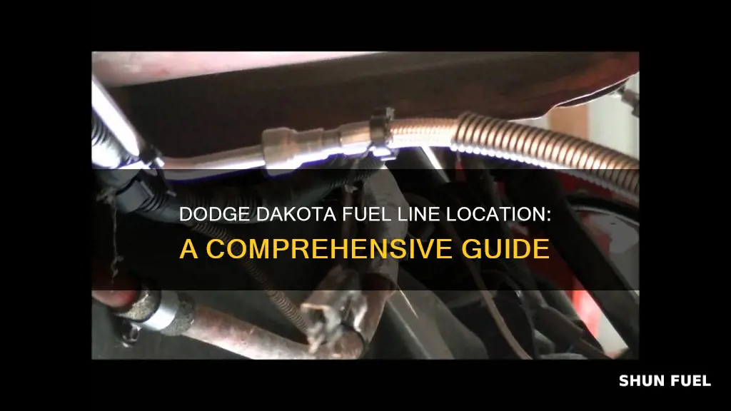 where is the fuel line on a 93 dodge dakota