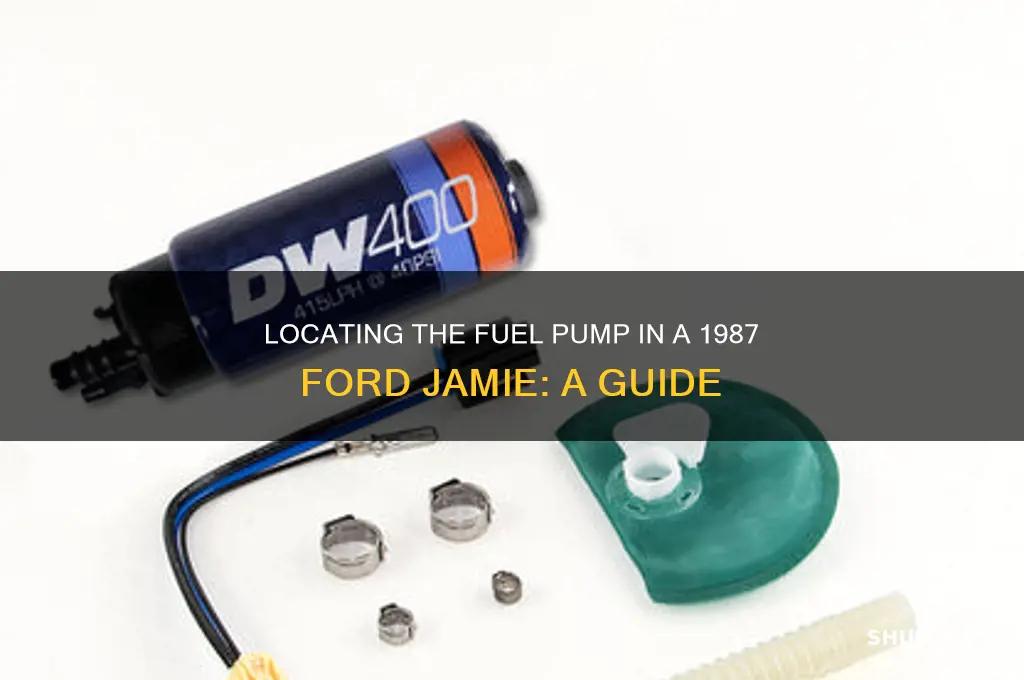 where is the fuel pump 1987 ford jamie