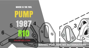 Locating the Fuel Pump in a 1987 Chevrolet R10 Truck