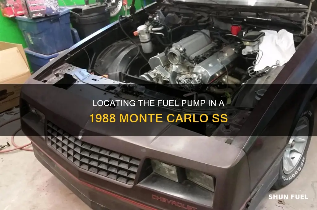 where is the fuel pump 1988 monte carlo ss