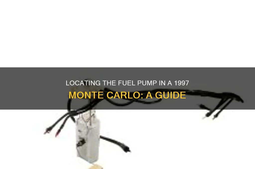 where is the fuel pump 97 monte carlo