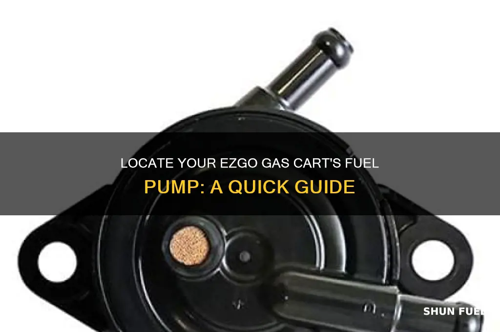 where is the fuel pump at on ezgo gas cart