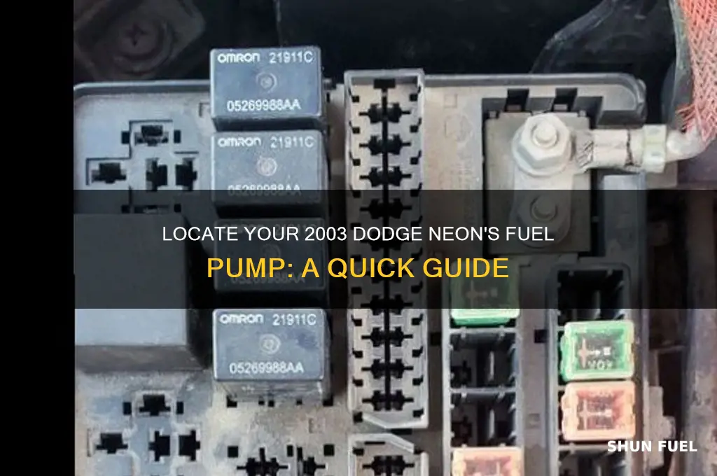 where is the fuel pump dodge neon 2003