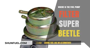 Fuel Pump Filter: Super Beetle's Secret Location