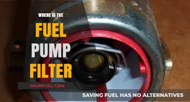 Fuel Pump Filter: Where Is It Located?