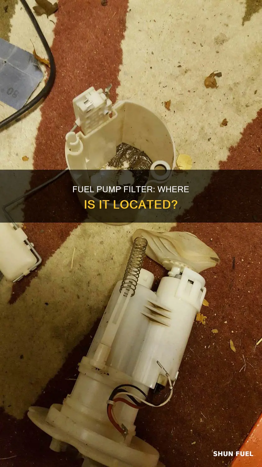 where is the fuel pump filter