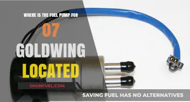 Locate the Fuel Pump on Your 2007 Honda Goldwing Easily