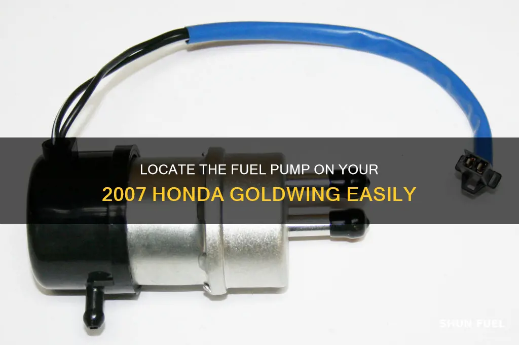 where is the fuel pump for 07 goldwing located