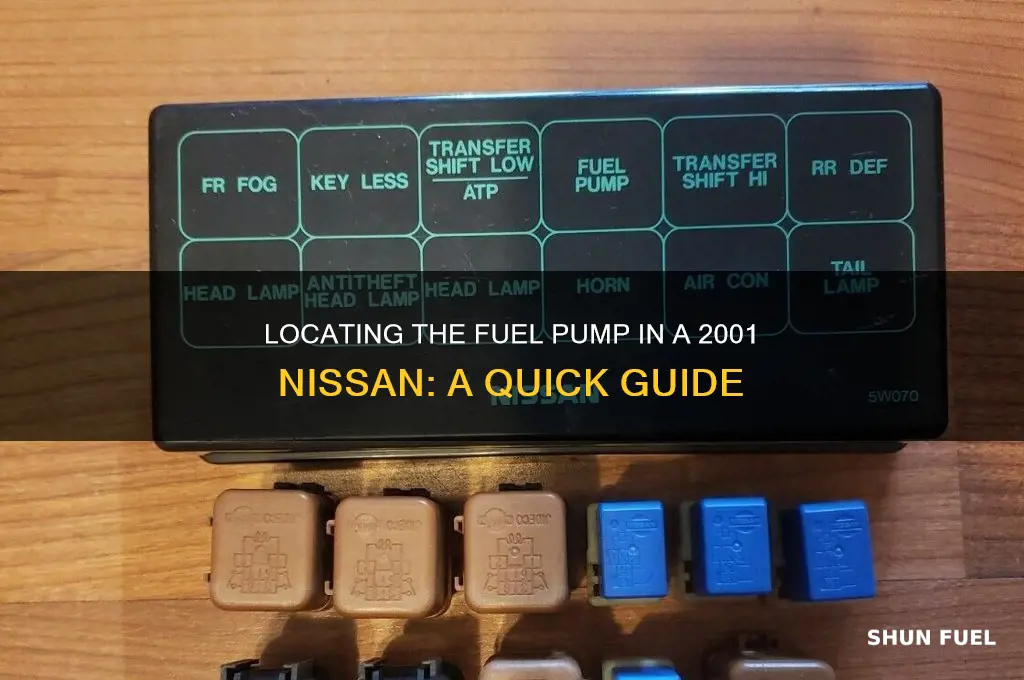 where is the fuel pump for 2001 nissan