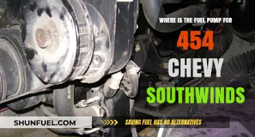 Locating the Fuel Pump in a 454 Chevy Southwinds