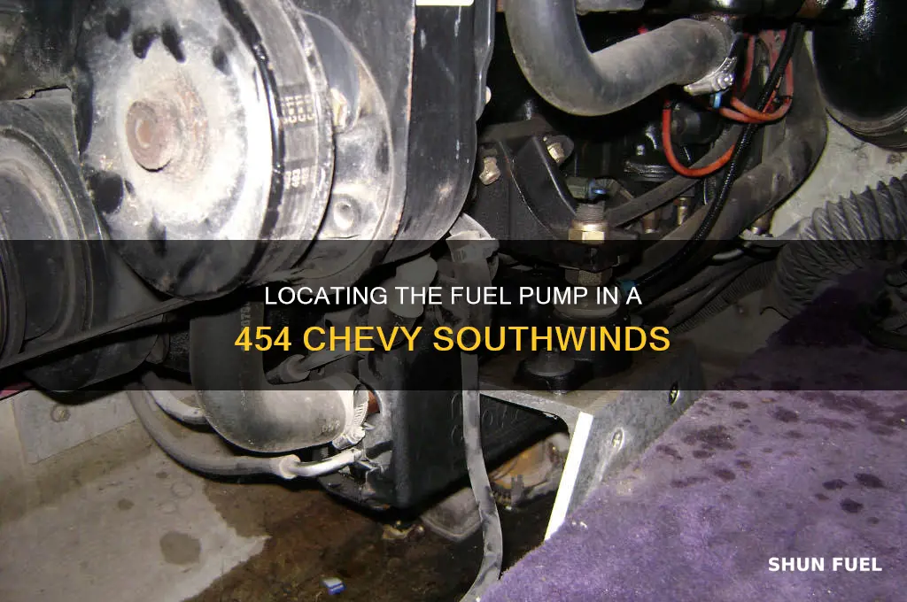 where is the fuel pump for 454 chevy southwinds