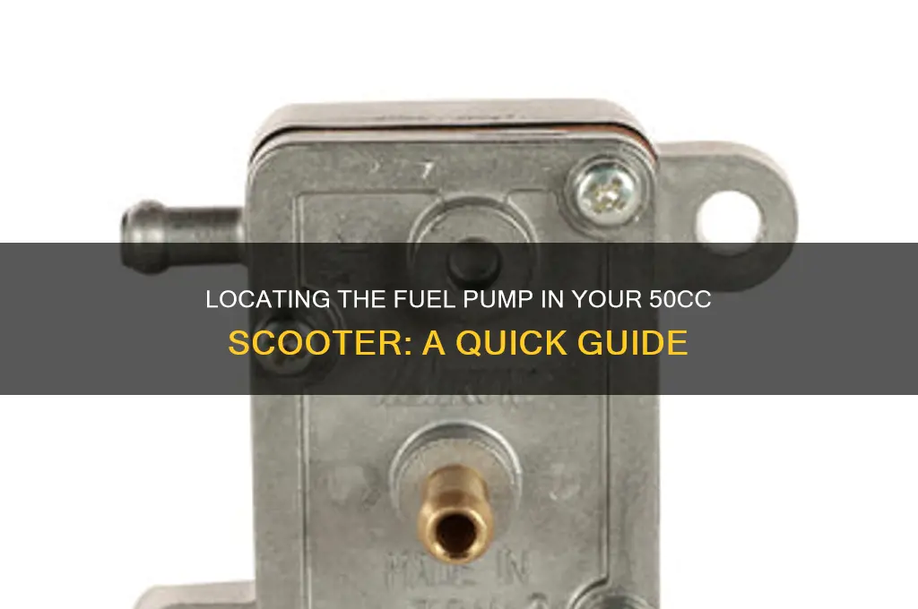 where is the fuel pump for 50cc scooter