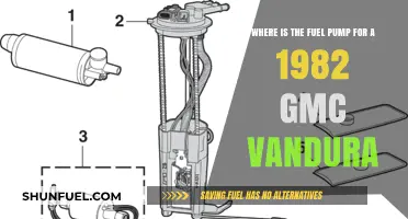 Locating the Fuel Pump in a 1982 GMC Vandura