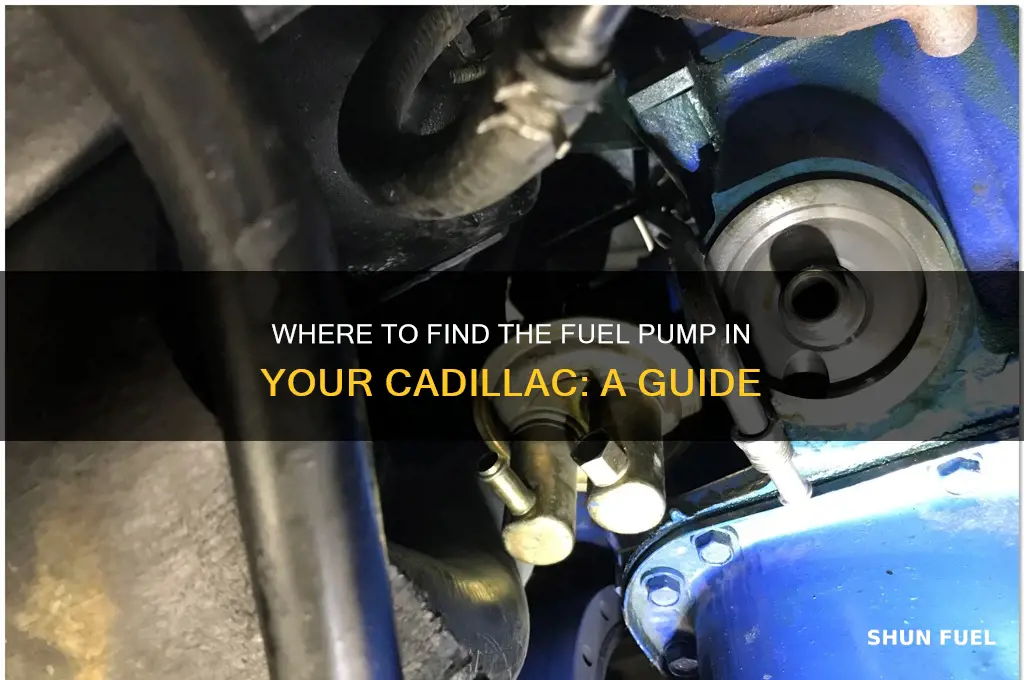where is the fuel pump for a cadillac
