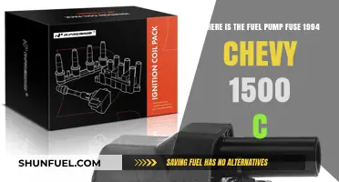 Locate the Fuel Pump Fuse in a 1994 Chevy 1500 C