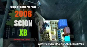 Locate the Fuel Pump Fuse in Your 2006 Scion xB
