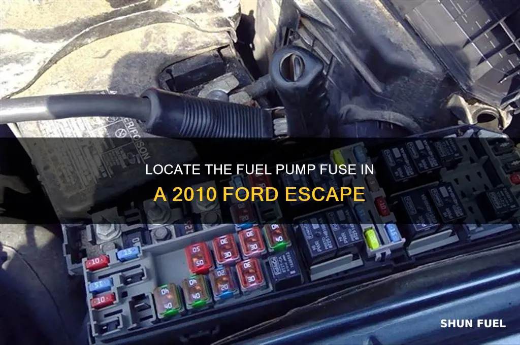 where is the fuel pump fuse 2010 ford escape