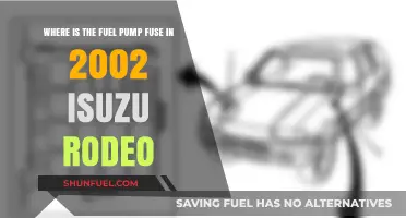 Locate the Fuel Pump Fuse in Your 2002 Isuzu Rodeo