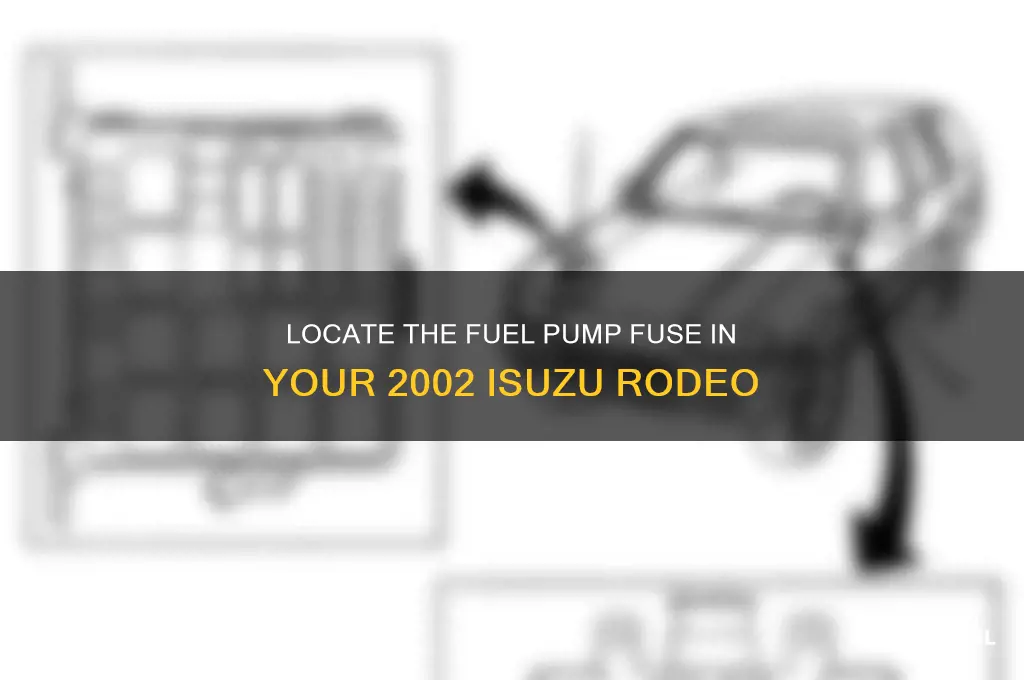 where is the fuel pump fuse in 2002 isuzu rodeo