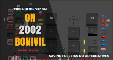 Locate the Fuel Pump Fuse in Your 2002 Bonneville Easily
