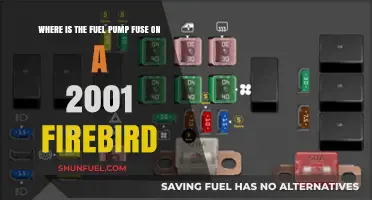 Locating the Fuel Pump Fuse in a 2001 Firebird