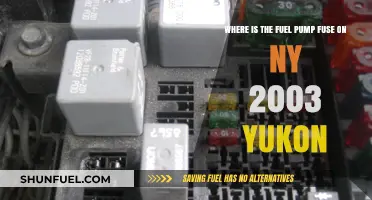Locate the Fuel Pump Fuse in Your 2003 Yukon Easily