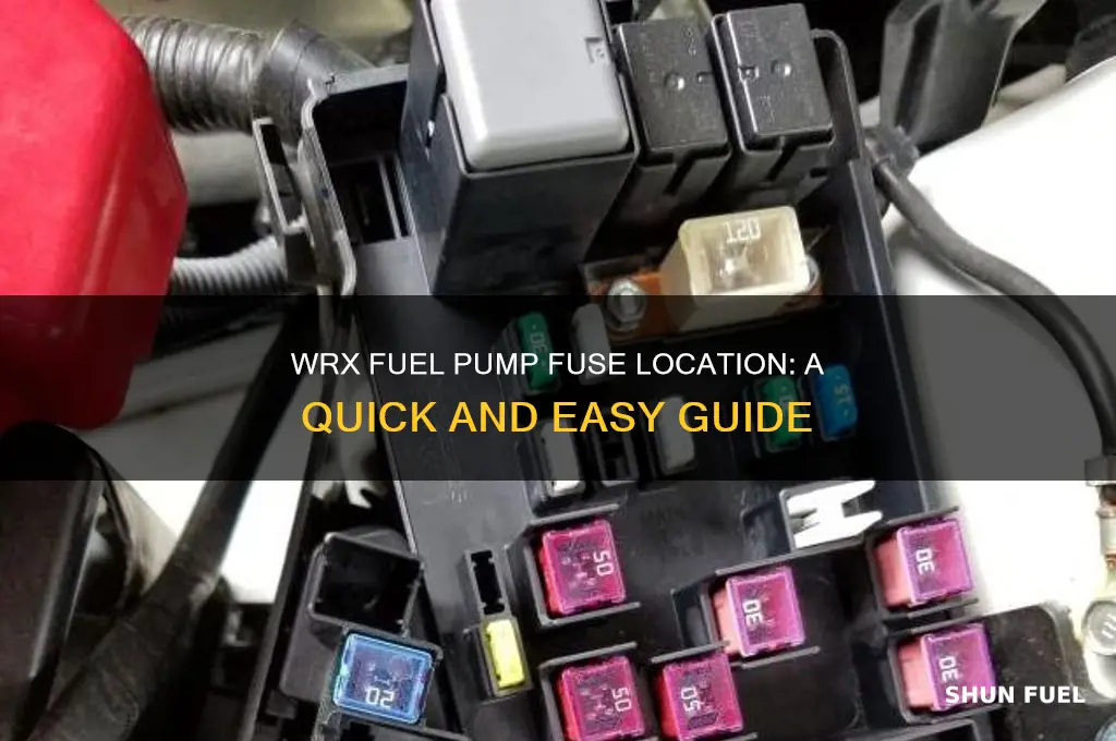 where is the fuel pump fuse wrx