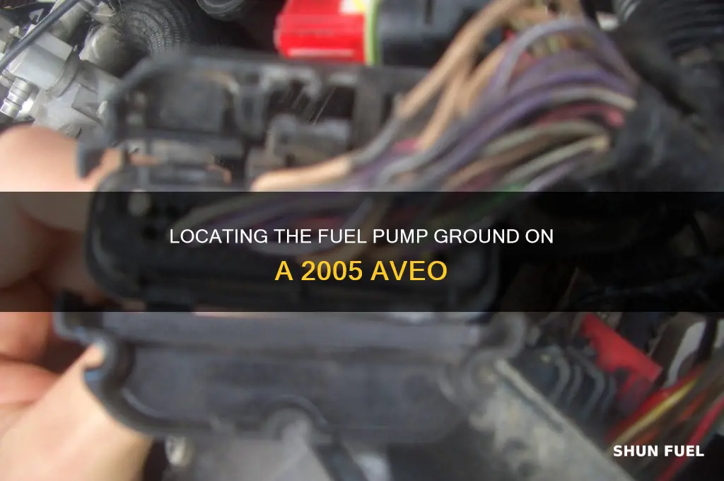 where is the fuel pump ground on 05 aveo