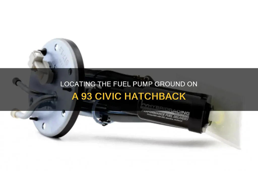 where is the fuel pump ground on 93 civic hatchback