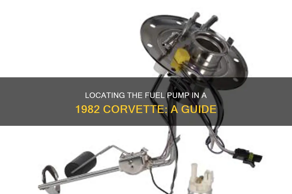 where is the fuel pump in 1982 corvette
