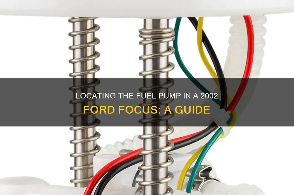 where is the fuel pump in 2002 ford focus