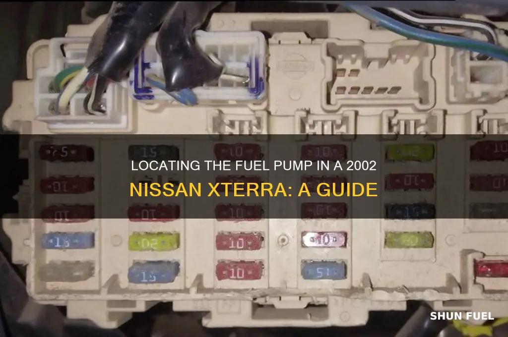 where is the fuel pump in 2002 nissan xterra
