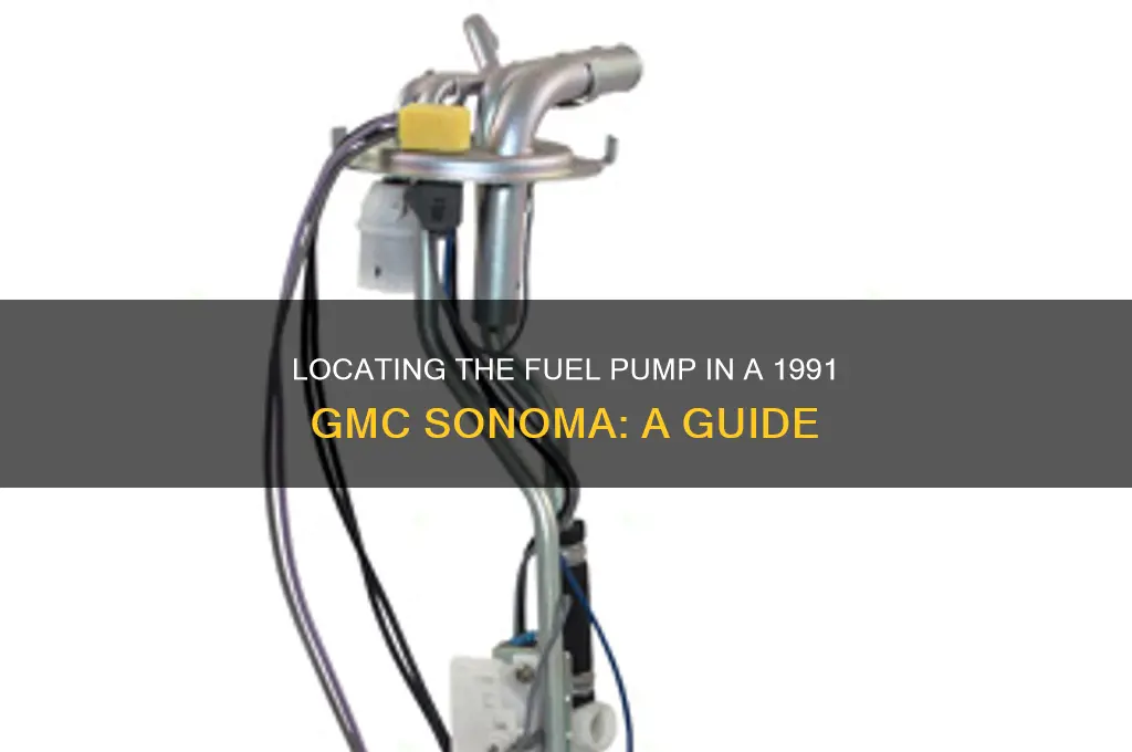 where is the fuel pump in a 1991 gmc sonoma
