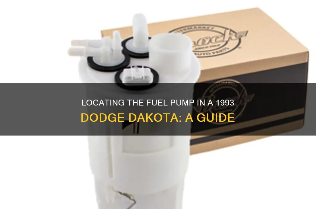 where is the fuel pump in a 1993 dodge dakota