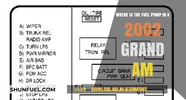 Locating the Fuel Pump in a 2002 Grand Am: A Guide