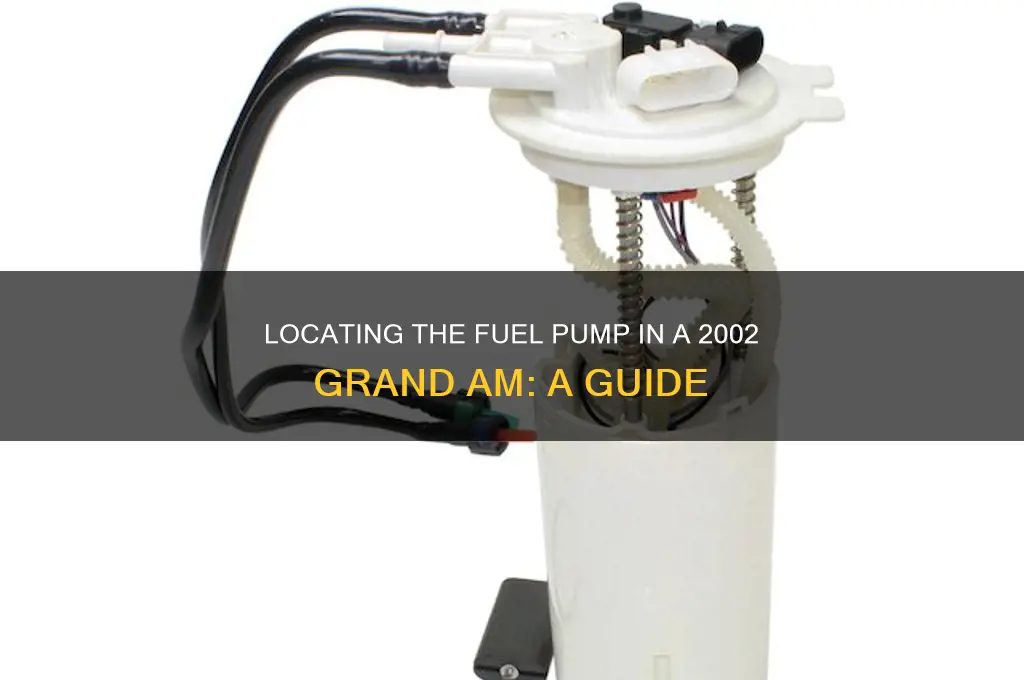 where is the fuel pump in a 2002 grand am