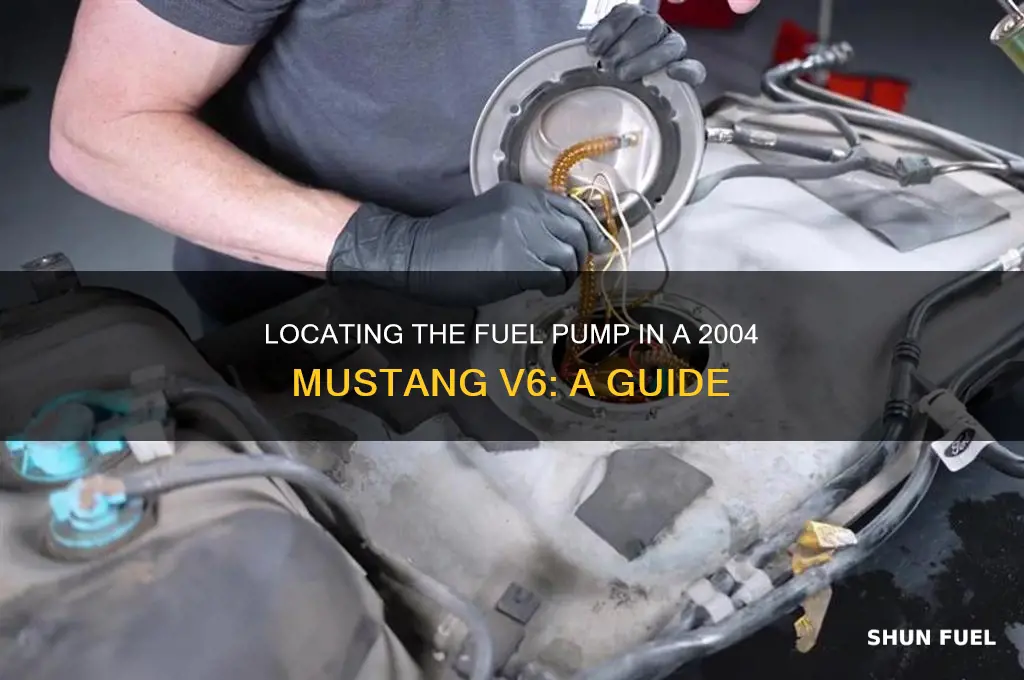 where is the fuel pump in a 2004 mustang v6