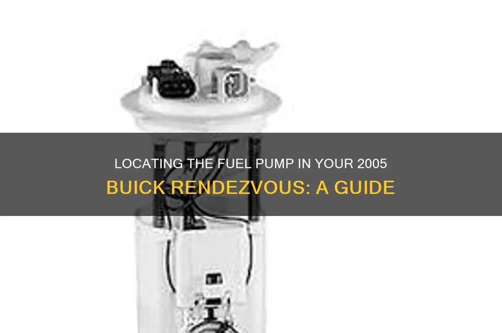 where is the fuel pump in a 2005 buick rendezvous
